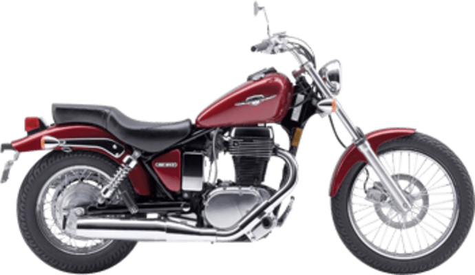 LS 650 Savage