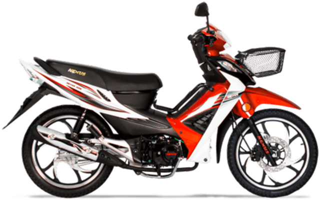 100 SFS Sport