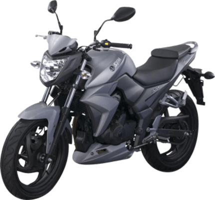 Wolf SB 250 NI