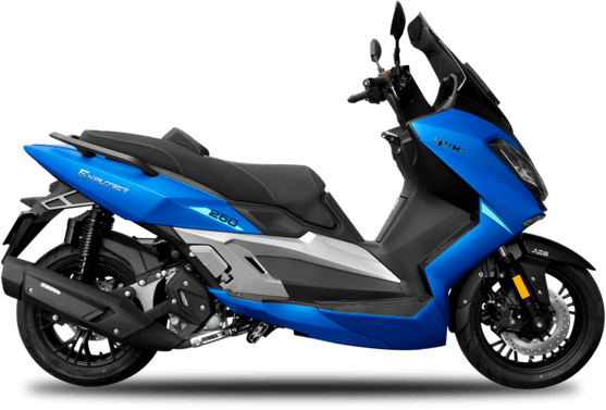 T11 Explorer