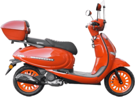 Bellini 50