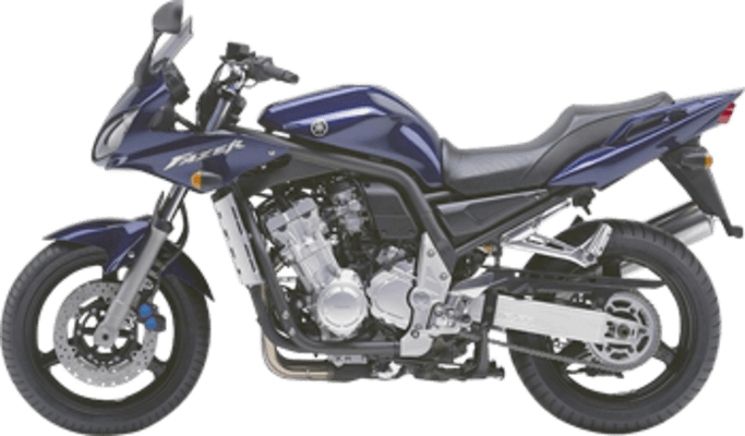 FZS1000