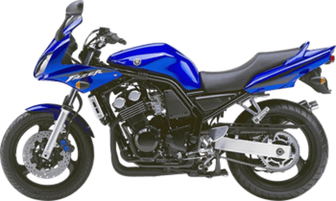 FZS600