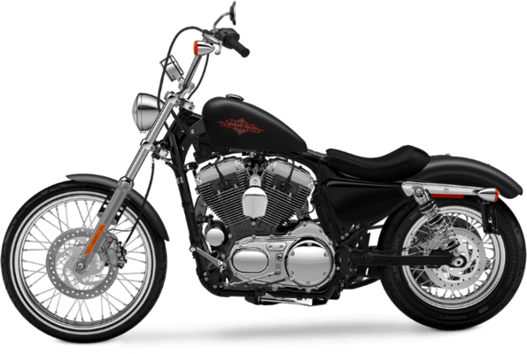 Sportster Custom XL883C
