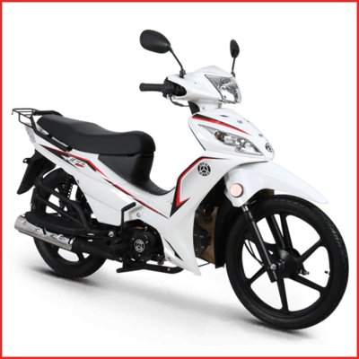 Ege 50